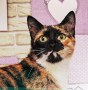 Caren (6)